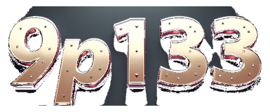 9p133 logo